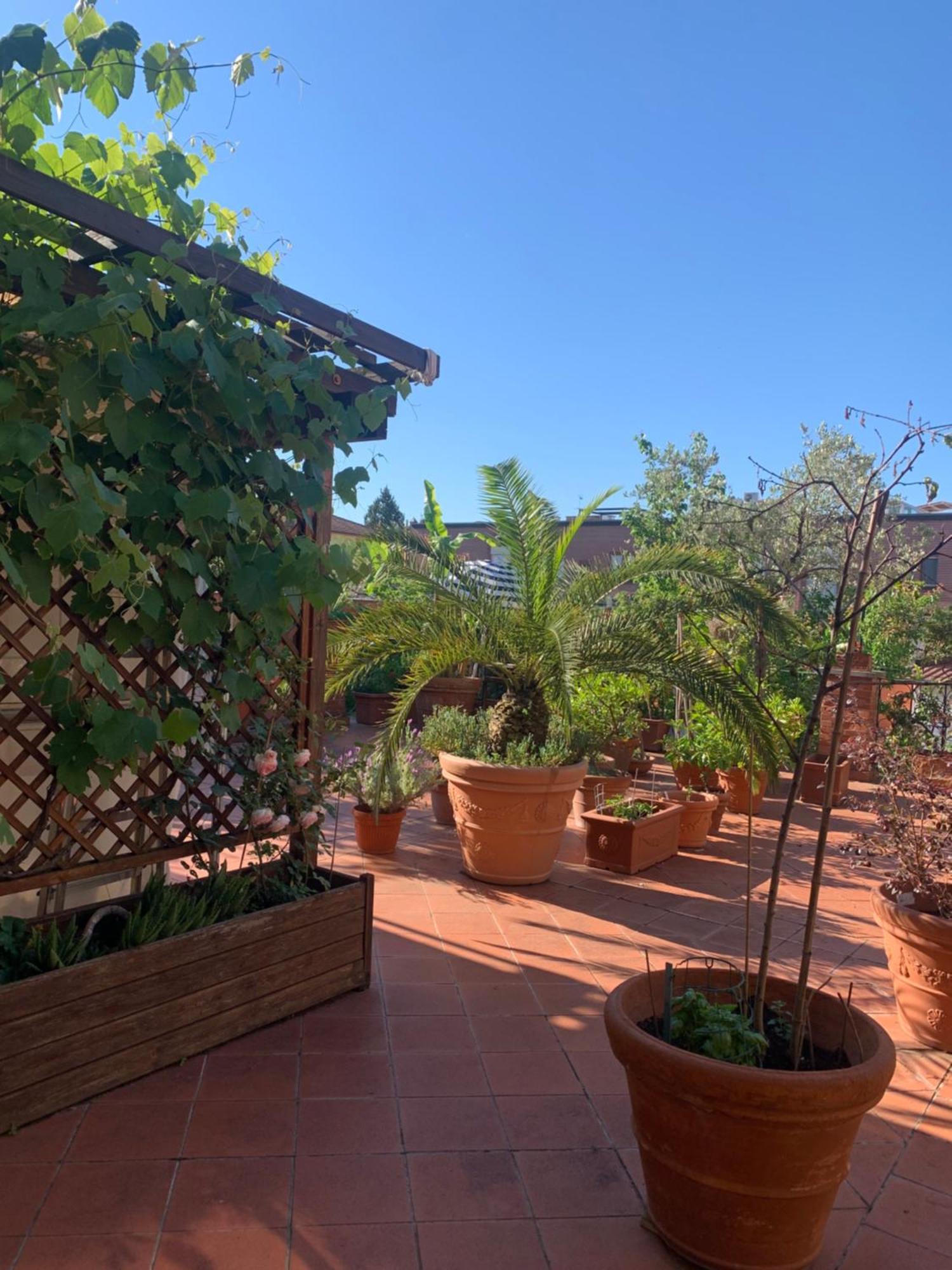 La Terrazza Da Ernestina Apartment Lucca Exterior photo